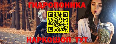 амф Гусь-Хрустальный