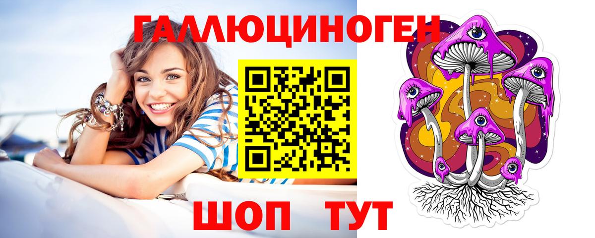 наркотики  Вход с VPN  Лыткарино  Псилоцибиновые грибы Psilocybe 